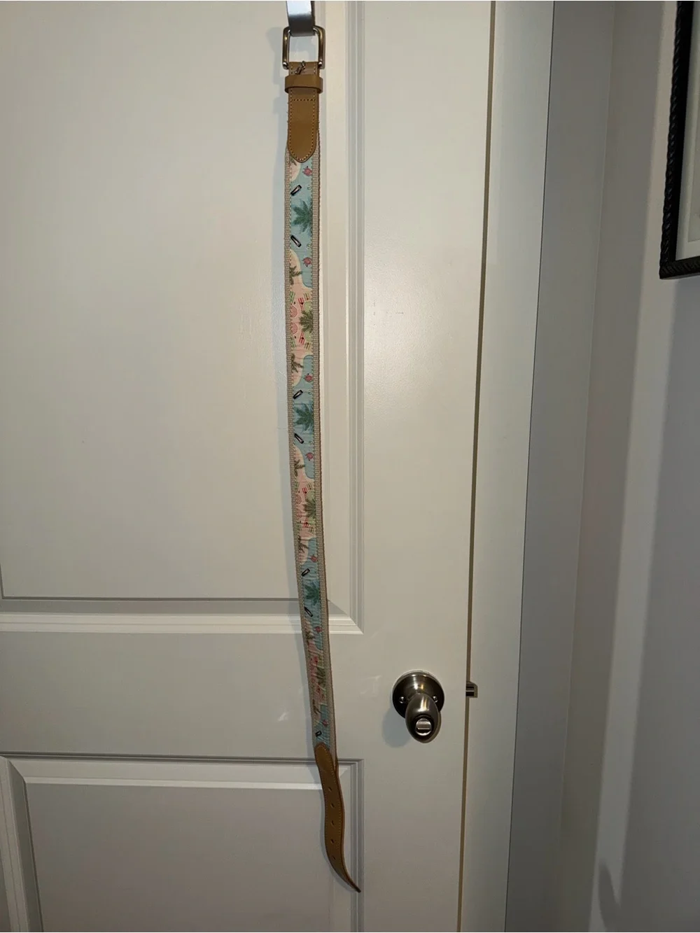 Vineyard Vines beach Canvas Belt in Light Blue and Tan